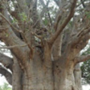 Meet your Posher, Marie